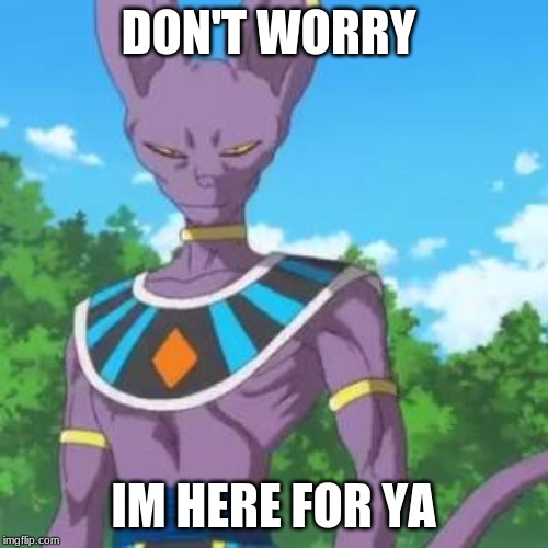 Lord Beerus | DON'T WORRY IM HERE FOR YA | image tagged in lord beerus | made w/ Imgflip meme maker