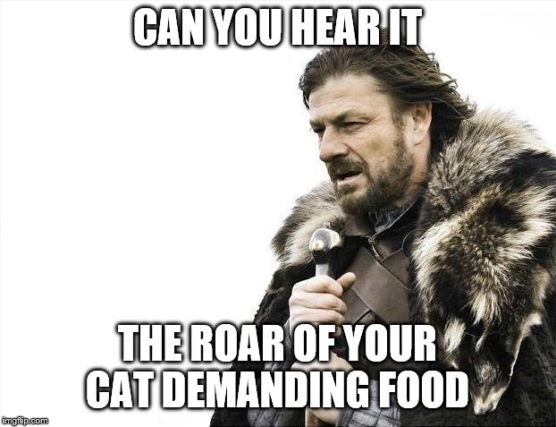 Brace Yourselves X is Coming | CAN YOU HEAR IT; THE ROAR OF YOUR CAT DEMANDING FOOD | image tagged in memes,brace yourselves x is coming | made w/ Imgflip meme maker