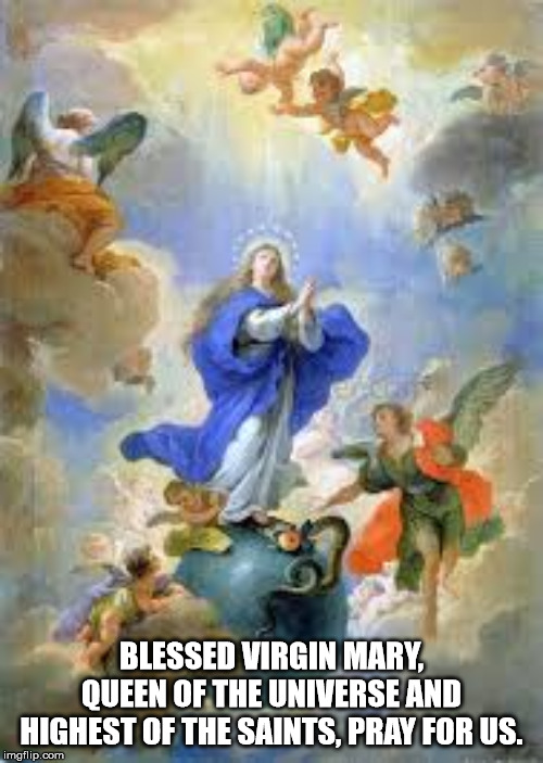 The Immaculate Conception of the Blessed Virgin Mary, Mother of God | BLESSED VIRGIN MARY, QUEEN OF THE UNIVERSE AND HIGHEST OF THE SAINTS, PRAY FOR US. | image tagged in catholic church | made w/ Imgflip meme maker