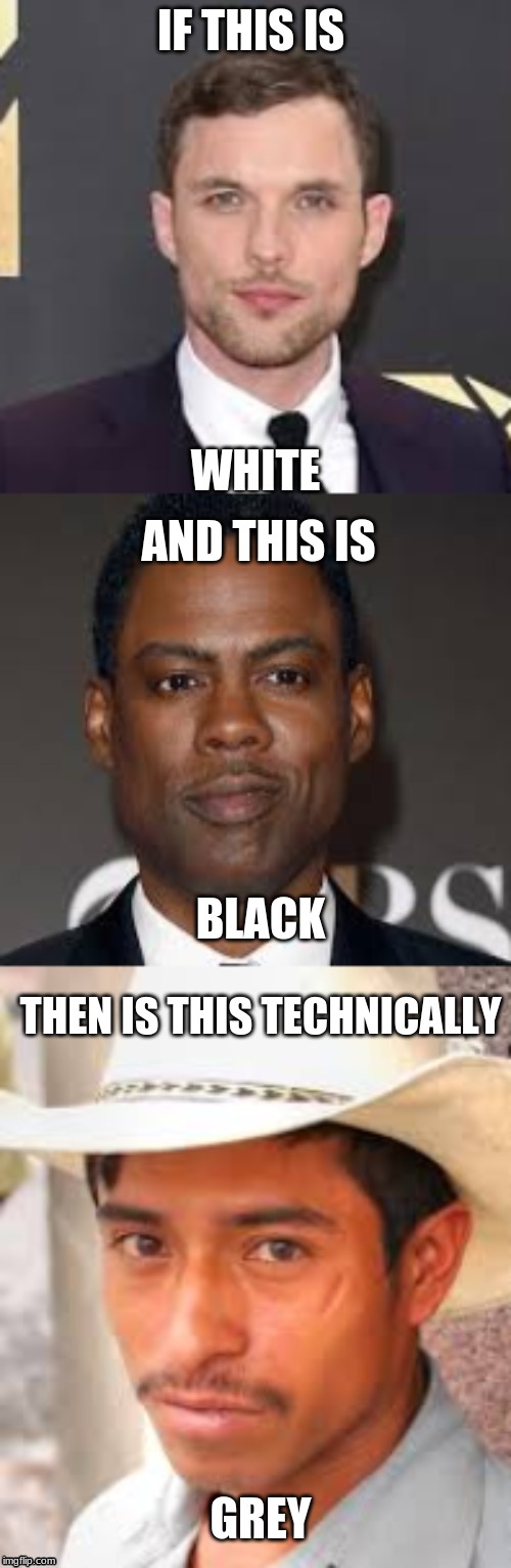 IF THIS IS; WHITE; AND THIS IS; BLACK; THEN IS THIS TECHNICALLY; GREY | made w/ Imgflip meme maker
