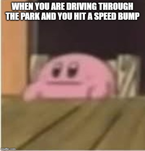 Kirby | WHEN YOU ARE DRIVING THROUGH THE PARK AND YOU HIT A SPEED BUMP | image tagged in kirby | made w/ Imgflip meme maker