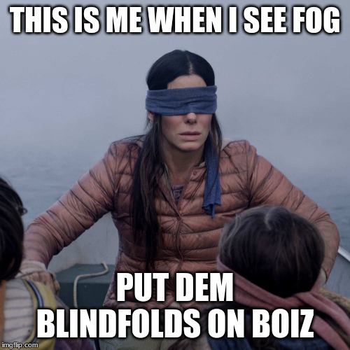 Bird Box Meme | THIS IS ME WHEN I SEE FOG; PUT DEM BLINDFOLDS ON BOIZ | image tagged in memes,bird box | made w/ Imgflip meme maker