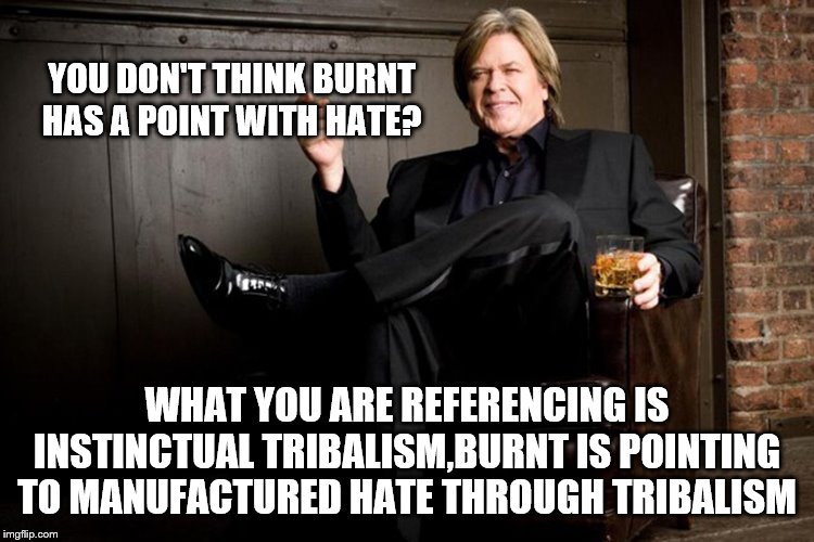 Ron White | YOU DON'T THINK BURNT HAS A POINT WITH HATE? WHAT YOU ARE REFERENCING IS INSTINCTUAL TRIBALISM,BURNT IS POINTING TO MANUFACTURED HATE THROUG | image tagged in ron white | made w/ Imgflip meme maker