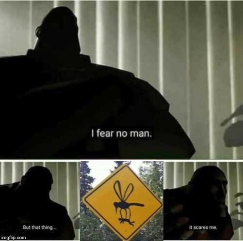 I fear no man | image tagged in i fear no man | made w/ Imgflip meme maker