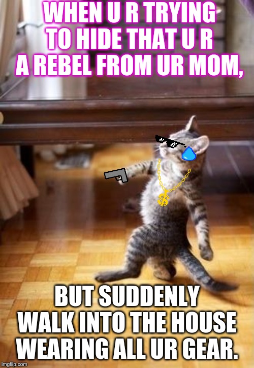 ooo, BUSTED!! | WHEN U R TRYING TO HIDE THAT U R A REBEL FROM UR MOM, BUT SUDDENLY WALK INTO THE HOUSE WEARING ALL UR GEAR. | image tagged in memes,cool cat stroll | made w/ Imgflip meme maker