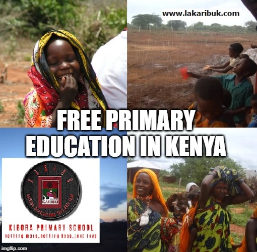Free primary education in Kenya | FREE PRIMARY EDUCATION IN KENYA | image tagged in free primary education in kenya,education and schools in kenya | made w/ Imgflip meme maker
