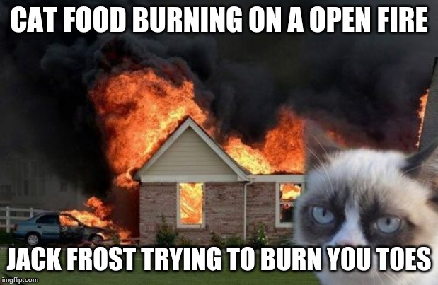 Burn Kitty Meme | CAT FOOD BURNING ON A OPEN FIRE; JACK FROST TRYING TO BURN YOU TOES | image tagged in memes,burn kitty,grumpy cat | made w/ Imgflip meme maker