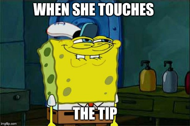 Don't You Squidward Meme | WHEN SHE TOUCHES; THE TIP | image tagged in memes,dont you squidward | made w/ Imgflip meme maker