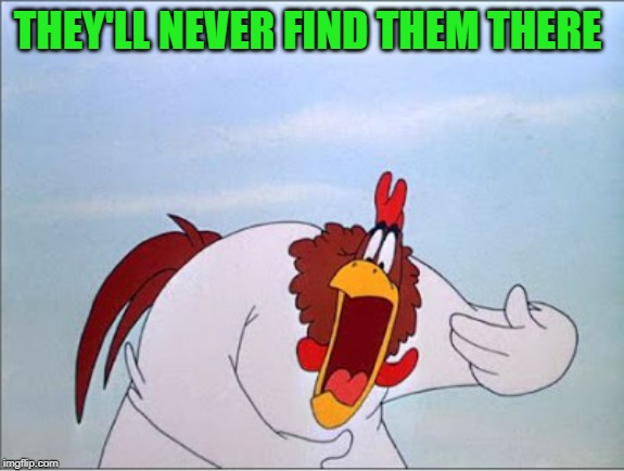 foghorn | THEY'LL NEVER FIND THEM THERE | image tagged in foghorn | made w/ Imgflip meme maker