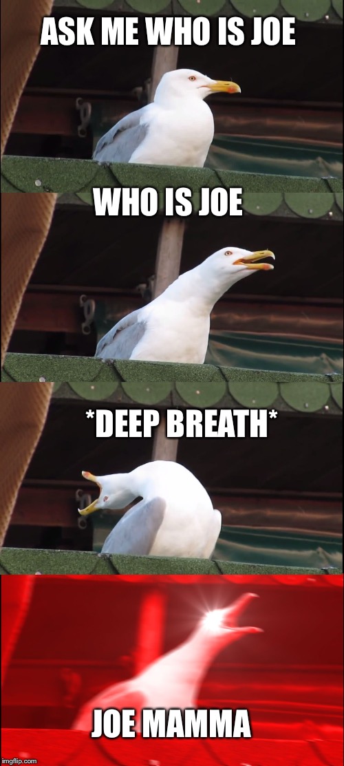 Inhaling Seagull Meme | ASK ME WHO IS JOE; WHO IS JOE; *DEEP BREATH*; JOE MAMMA | image tagged in memes,inhaling seagull | made w/ Imgflip meme maker