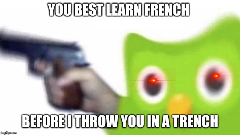 duolingo gun | YOU BEST LEARN FRENCH; BEFORE I THROW YOU IN A TRENCH | image tagged in duolingo gun | made w/ Imgflip meme maker
