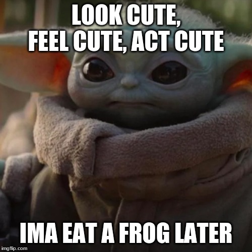 My brother feels the same | LOOK CUTE, FEEL CUTE, ACT CUTE; IMA EAT A FROG LATER | image tagged in baby yoda | made w/ Imgflip meme maker