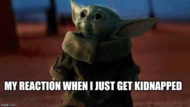 Baby Yoda | MY REACTION WHEN I JUST GET KIDNAPPED | image tagged in baby yoda | made w/ Imgflip meme maker