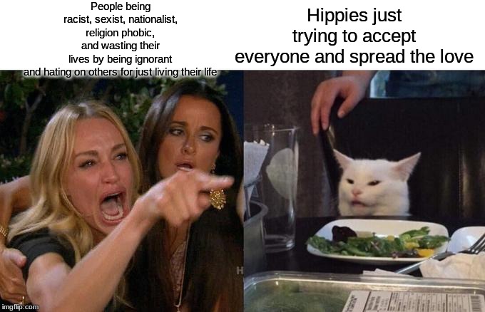 Woman Yelling At Cat Meme | People being racist, sexist, nationalist, religion phobic, and wasting their lives by being ignorant and hating on others for just living their life; Hippies just trying to accept everyone and spread the love | image tagged in memes,woman yelling at cat | made w/ Imgflip meme maker