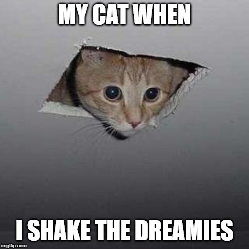 Ceiling Cat Meme | MY CAT WHEN; I SHAKE THE DREAMIES | image tagged in memes,ceiling cat | made w/ Imgflip meme maker