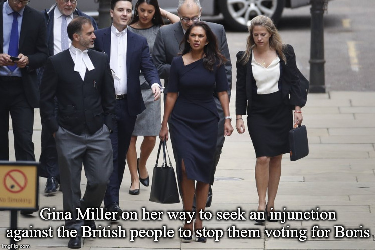 Gina Miller | Gina Miller on her way to seek an injunction against the British people to stop them voting for Boris | image tagged in gina miller | made w/ Imgflip meme maker