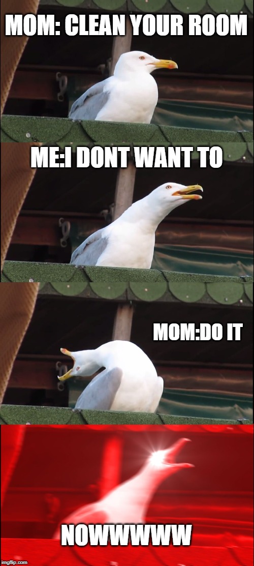 Inhaling Seagull | MOM: CLEAN YOUR ROOM; ME:I DONT WANT TO; MOM:DO IT; NOWWWWW | image tagged in memes,inhaling seagull | made w/ Imgflip meme maker