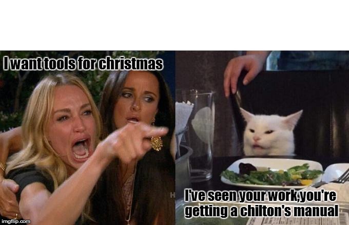 Woman Yelling At Cat | I want tools for christmas; I've seen your work,you're getting a chilton's manual | image tagged in woman yelling at cat,automotive,funny memes,cars,auto repair,automotive repair | made w/ Imgflip meme maker