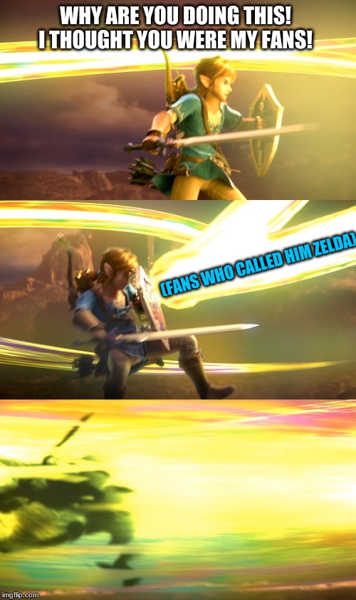 Link gets obliterated | WHY ARE YOU DOING THIS! I THOUGHT YOU WERE MY FANS! (FANS WHO CALLED HIM ZELDA) | image tagged in link gets obliterated | made w/ Imgflip meme maker