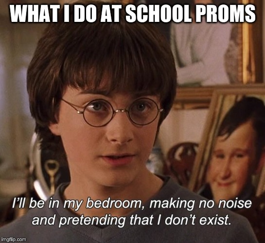 Harry Potter | WHAT I DO AT SCHOOL PROMS | image tagged in harry potter | made w/ Imgflip meme maker