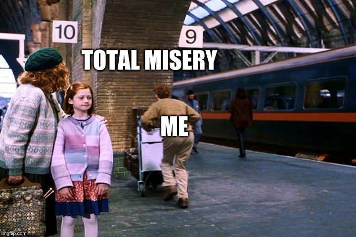 harry potter going to wall | TOTAL MISERY; ME | image tagged in harry potter going to wall | made w/ Imgflip meme maker