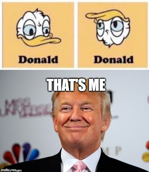 donaled trmp | THAT'S ME | image tagged in donald trump approves,funny,memes,ducks,donald trump,donald duck | made w/ Imgflip meme maker