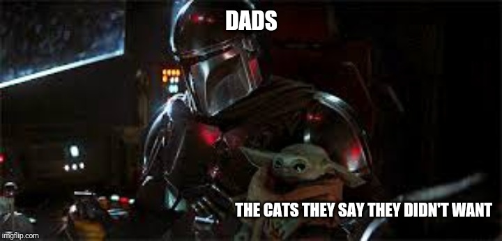 Dads and the cats they say they didn't want | DADS; THE CATS THEY SAY THEY DIDN'T WANT | image tagged in mandalorian,baby yoda,dad,cats | made w/ Imgflip meme maker