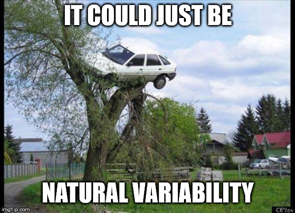 car in tree | IT COULD JUST BE; NATURAL VARIABILITY | image tagged in car in tree | made w/ Imgflip meme maker