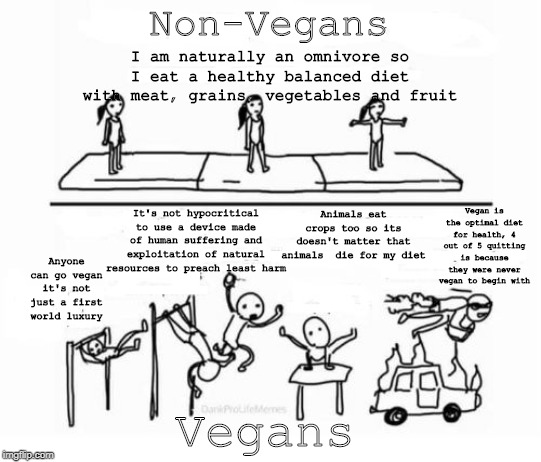 Vegan Gymnastics Non-Vegans; I am naturally an omnivore so I eat a healthy ...