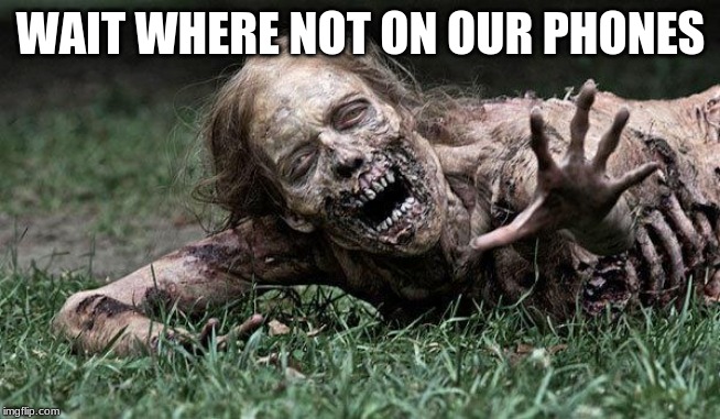 Walking Dead Zombie | WAIT WHERE NOT ON OUR PHONES | image tagged in walking dead zombie | made w/ Imgflip meme maker