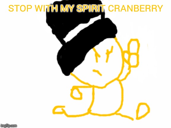 Blank White Template | STOP WITH MY SPIRIT CRANBERRY | image tagged in blank white template | made w/ Imgflip meme maker