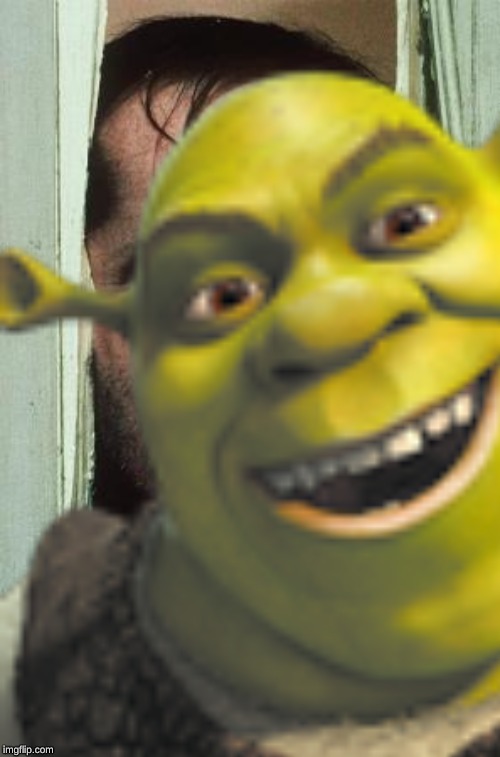 Here's Shrek | image tagged in shrek | made w/ Imgflip meme maker