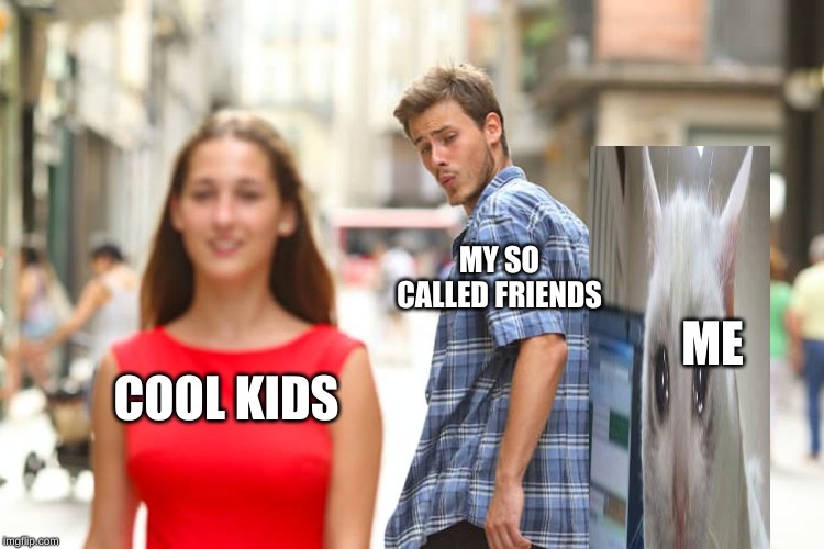 Distracted Boyfriend Meme | MY SO CALLED FRIENDS; ME; COOL KIDS | image tagged in memes,distracted boyfriend | made w/ Imgflip meme maker