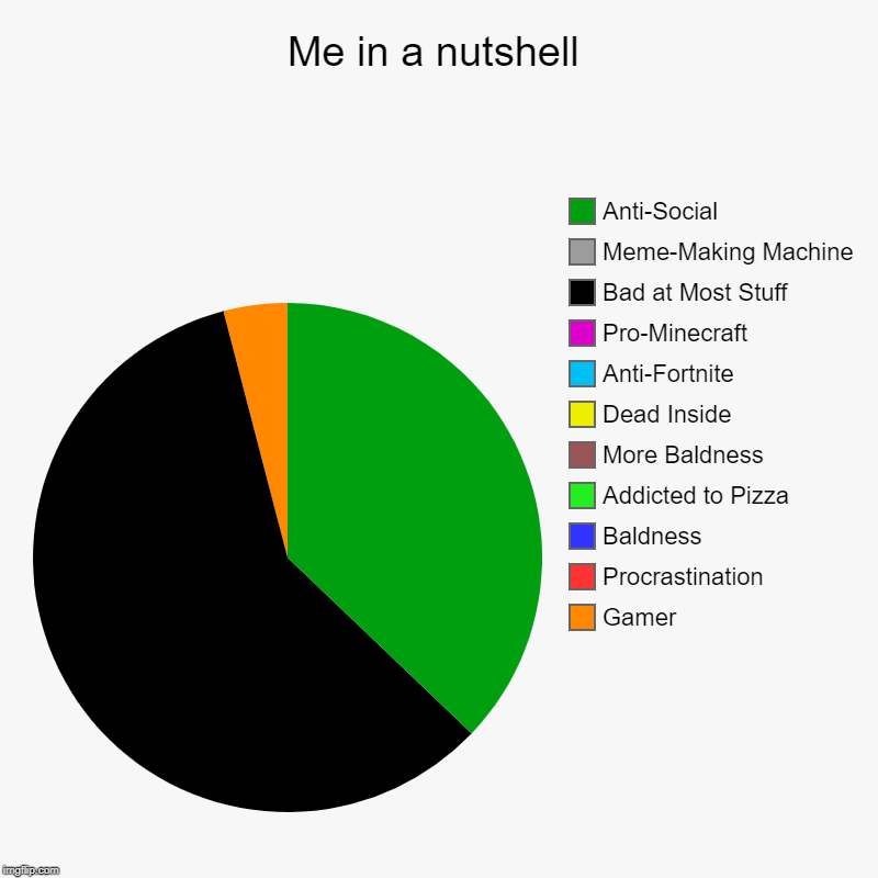 Me in a nutshell | Gamer, Procrastination, Baldness, Addicted to Pizza, More Baldness, Dead Inside, Anti-Fortnite, Pro-Minecraft, Bad at Mos | image tagged in charts,pie charts | made w/ Imgflip chart maker