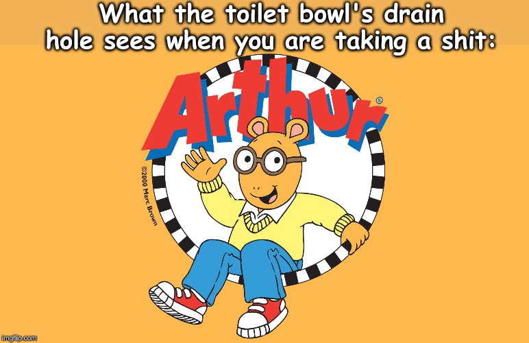 What the toilet bowl's drain hole sees when you are taking a shit: | image tagged in arthur meme | made w/ Imgflip meme maker