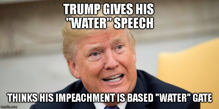 Trump says "There is a lot of water. It's called rain."  - He Has Completely Lost His Mind | TRUMP GIVES HIS 
"WATER" SPEECH; THINKS HIS IMPEACHMENT IS BASED "WATER" GATE | image tagged in donald trump is an idiot,water everywhere,trumptards,lunatic,crazy,impeach trump | made w/ Imgflip meme maker