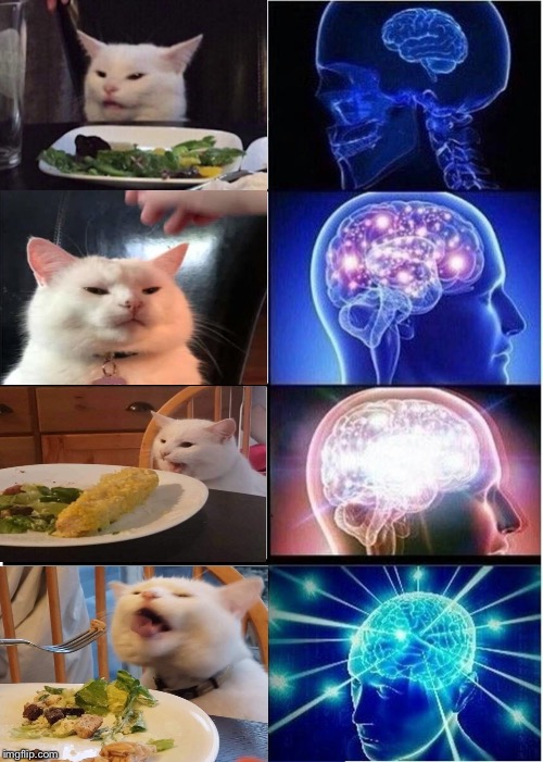 Pictures of Smudge the Cat! ;D | image tagged in memes,expanding brain,smudge the cat | made w/ Imgflip meme maker