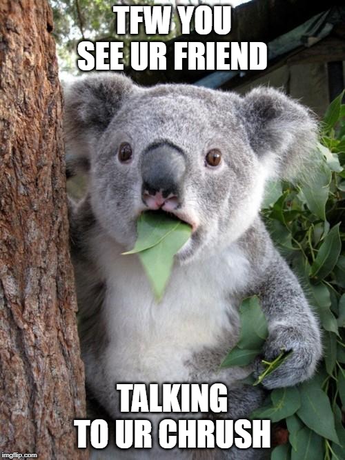 Surprised Koala | TFW YOU SEE UR FRIEND; TALKING TO UR CHRUSH | image tagged in memes,surprised koala | made w/ Imgflip meme maker