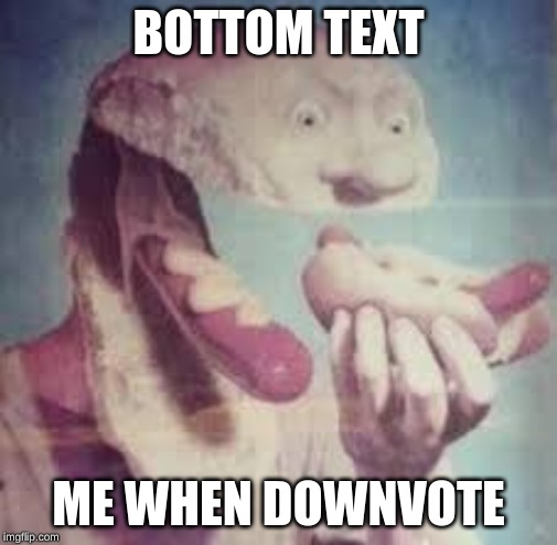 BOTTOM TEXT; ME WHEN DOWNVOTE | image tagged in funny meme | made w/ Imgflip meme maker