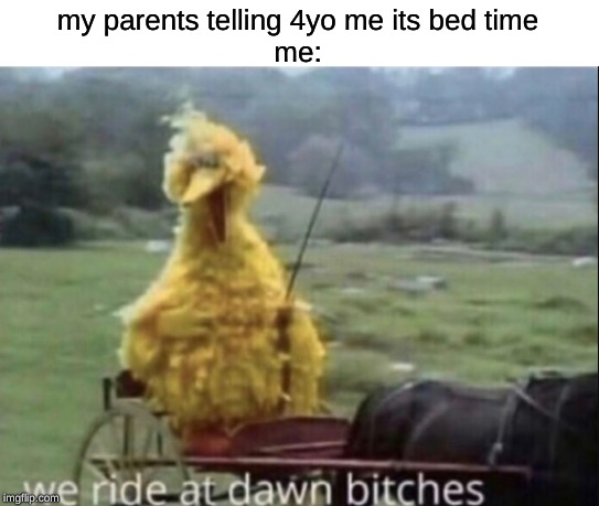 my parents telling 4yo me its bed time
me: | image tagged in big bird | made w/ Imgflip meme maker
