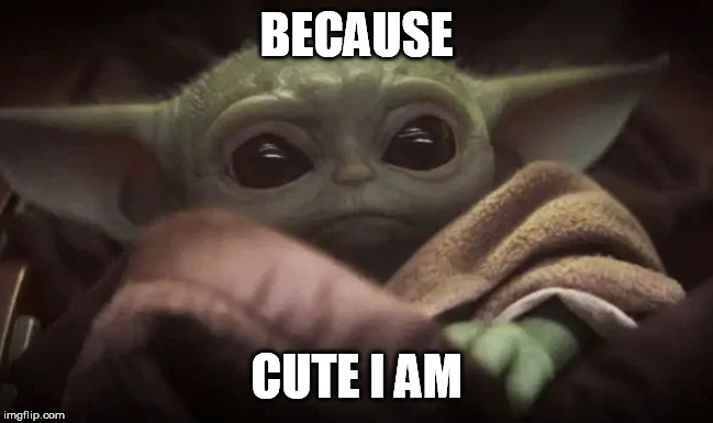 Baby Yoda | BECAUSE CUTE I AM | image tagged in baby yoda | made w/ Imgflip meme maker
