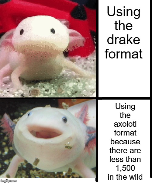 Annoyed Axolotl | Using the drake format; Using the axolotl format because there are less than 1,500 in the wild | image tagged in annoyed axolotl | made w/ Imgflip meme maker