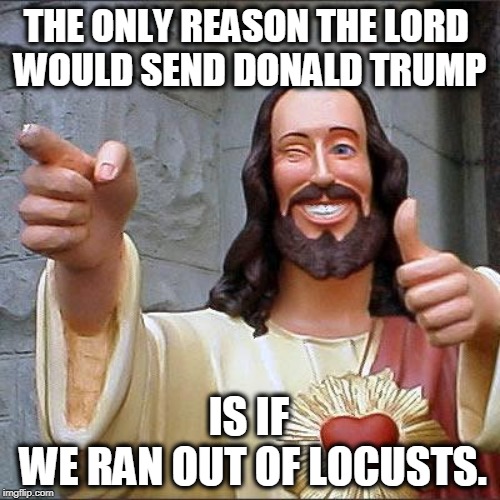 God's Purpose for Trump | THE ONLY REASON THE LORD 
WOULD SEND DONALD TRUMP; IS IF 
WE RAN OUT OF LOCUSTS. | image tagged in memes,buddy christ,trump,plague,punishment | made w/ Imgflip meme maker