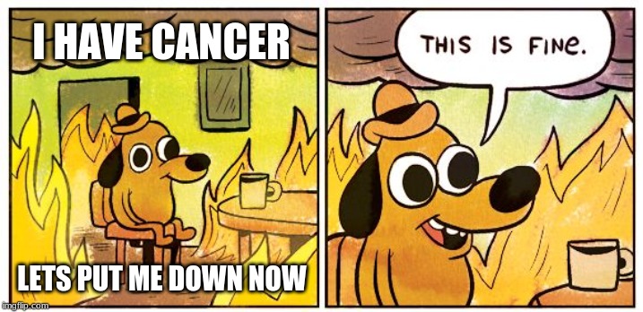 This Is Fine | I HAVE CANCER; LETS PUT ME DOWN NOW | image tagged in this is fine dog | made w/ Imgflip meme maker