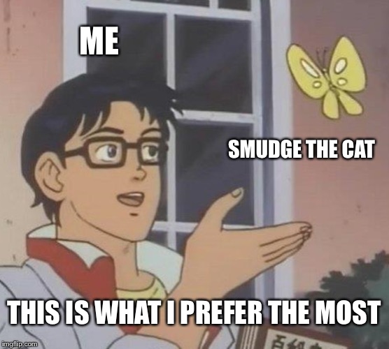 Very true | ME; SMUDGE THE CAT; THIS IS WHAT I PREFER THE MOST | image tagged in memes,is this a pigeon,smudge the cat,lol question mark | made w/ Imgflip meme maker