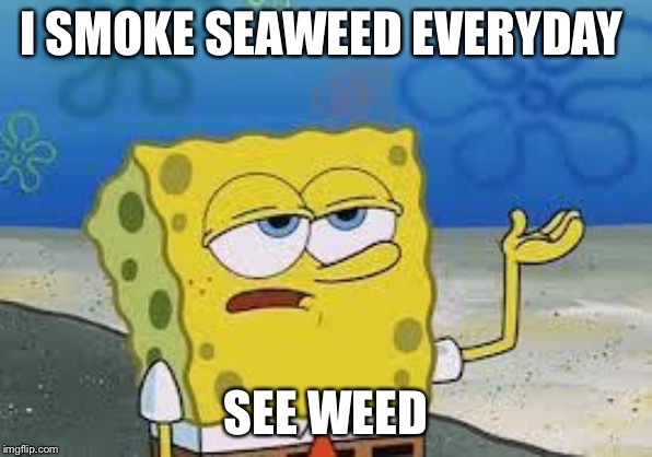 Tough Spongebob | I SMOKE SEAWEED EVERYDAY; SEE WEED | image tagged in tough spongebob | made w/ Imgflip meme maker