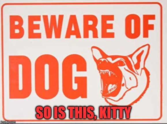 Beware of dog sign | SO IS THIS, KITTY | image tagged in beware of dog sign | made w/ Imgflip meme maker