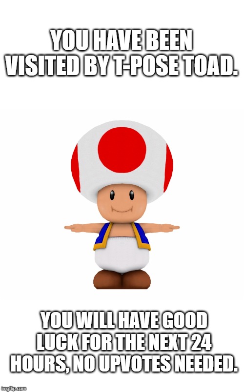 YOU HAVE BEEN VISITED BY T-POSE TOAD. YOU WILL HAVE GOOD LUCK FOR THE NEXT 24 HOURS, NO UPVOTES NEEDED. | image tagged in t-pose toad,memes | made w/ Imgflip meme maker
