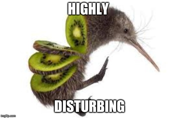 HIGHLY; DISTURBING | image tagged in kiwi,bird | made w/ Imgflip meme maker