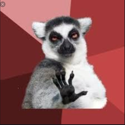 High Quality Emotional Lemur Blank Meme Template